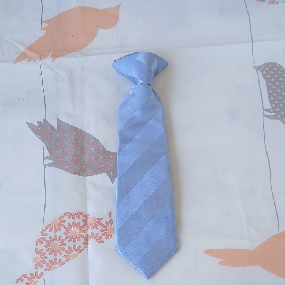 Kid's Blue Tie